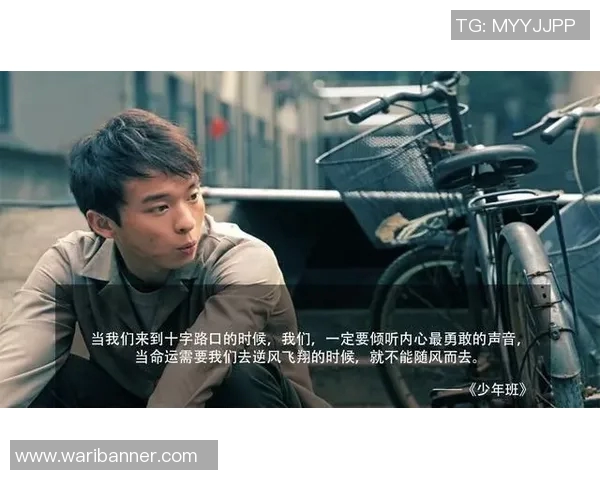 张帆的成长之路：从普通学生到行业精英的励志故事与人生感悟