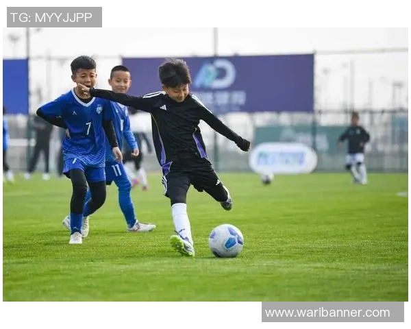 成都足球队实力解析：从青训到职业联赛的全方位发展探讨