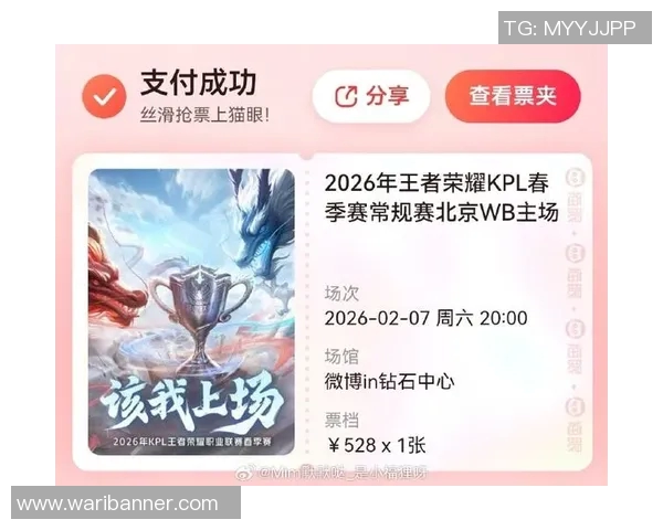 王者荣耀深度解析：WE战队选手个人能力的秘密与成长之路