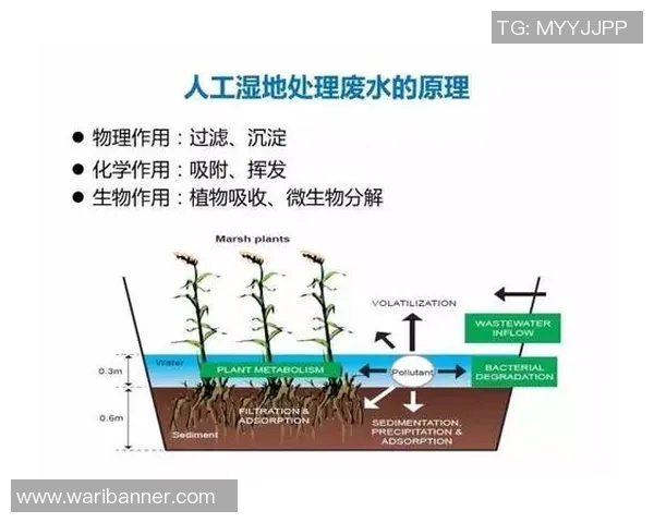 网球新手必看:轻松掌握基础战术与技巧的全面指南 网球新手必看:轻松掌握基础战术与技巧的全面指南