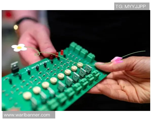 杭州羽毛球队整体压制革新之路探秘与未来展望